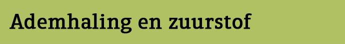 Ontdek Zuurstof & Inhalatoren bij Sanpura