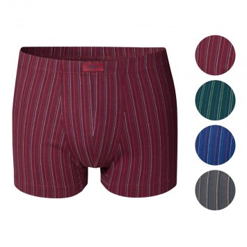 Heren-retroshort Pak van 4