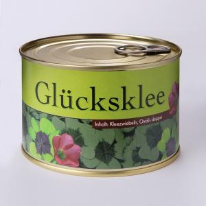 Klavertjevier in blik 