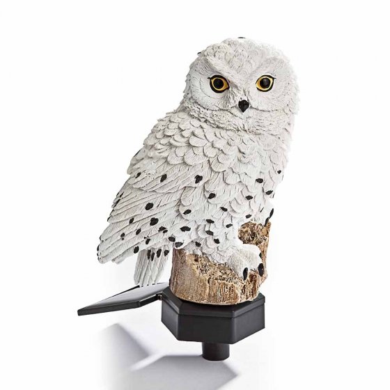 Sneeuwuil op zonne-energie 