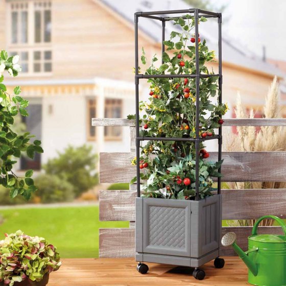 XXL-plantentoren met wieltjes