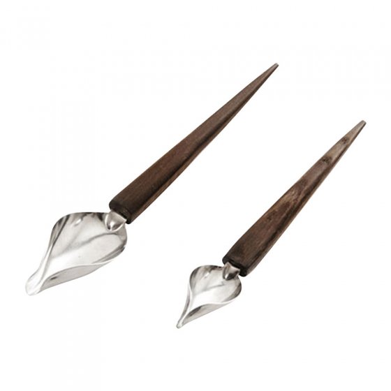 2 delige decoratieve lepel set