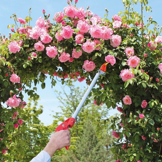 Tuinschaar met lange steel 