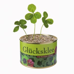 Klavertjevier in blik 