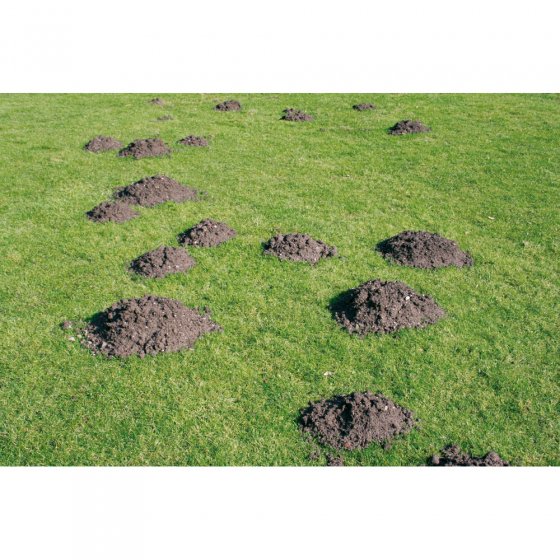 Mol-afschrikplant