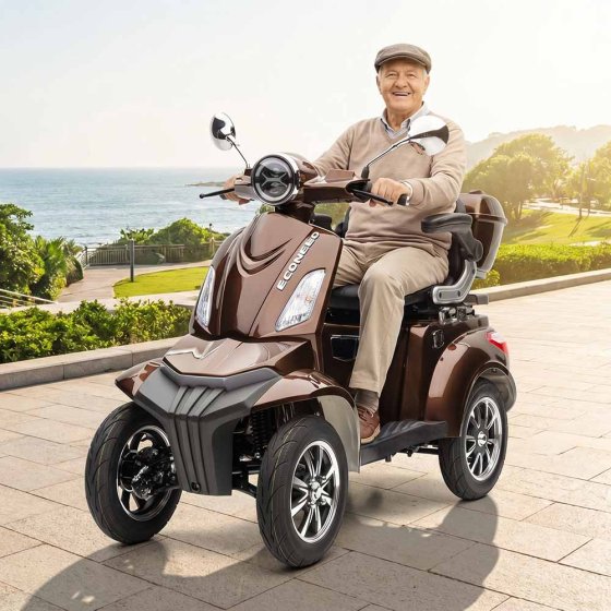 E-Mobil MAXXI, 4 wielen, loodaccu Bruin