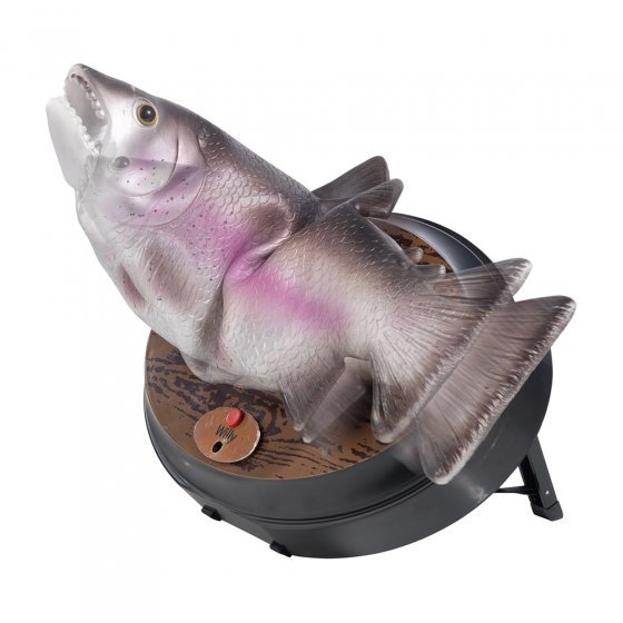 Willy, de zingende forel