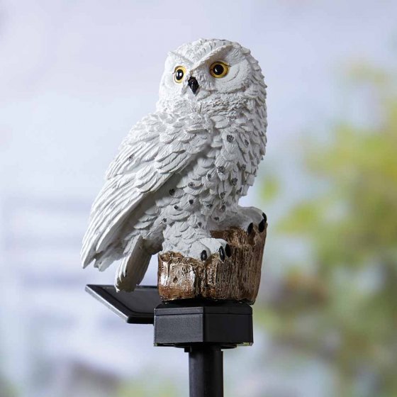 Sneeuwuil op zonne-energie 