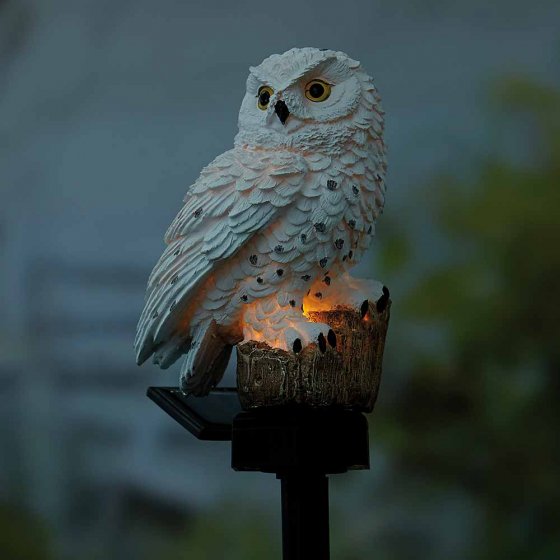 Sneeuwuil op zonne-energie 